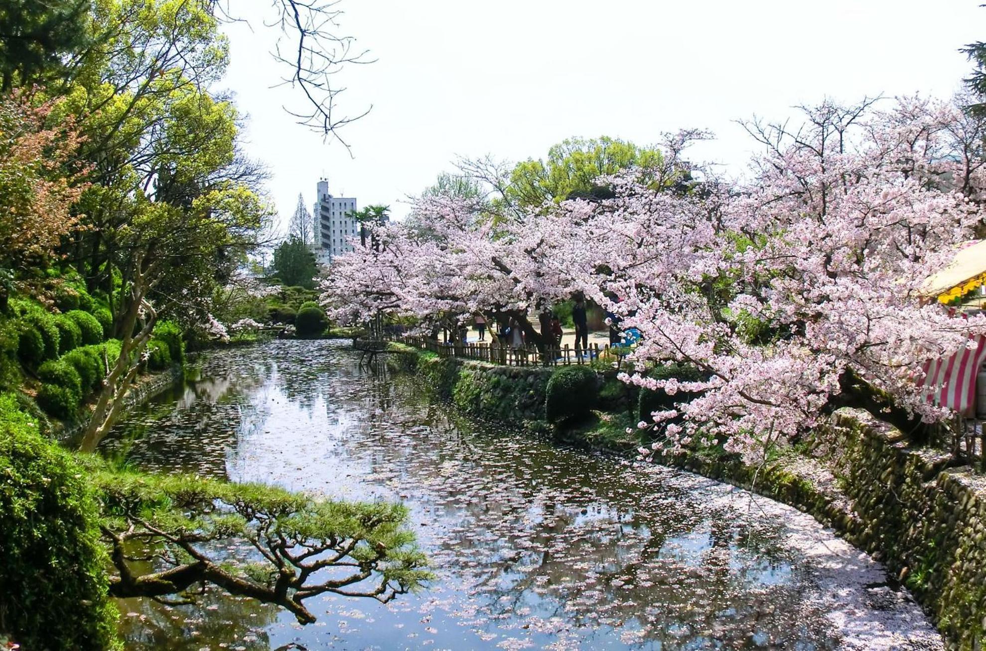 媛楽園 松山中心地及び道後温泉に近い家族やグループ旅行の多人数が泊まれる快適な宿 Екстериор снимка