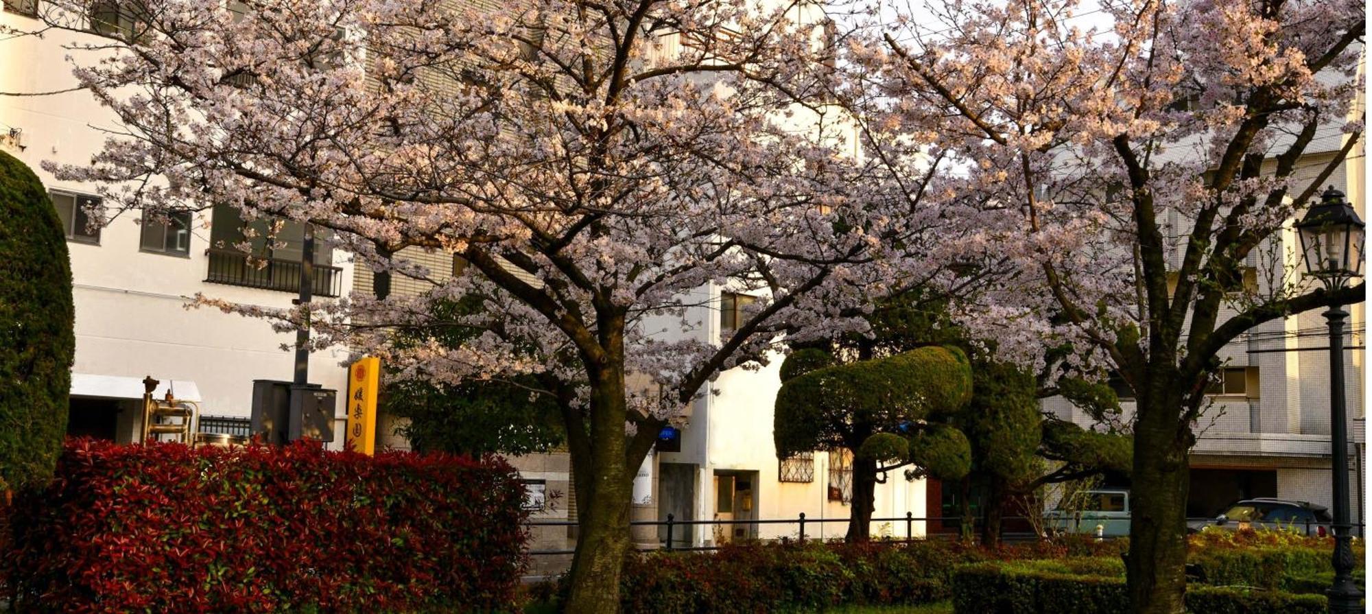 媛楽園 松山中心地及び道後温泉に近い家族やグループ旅行の多人数が泊まれる快適な宿 Екстериор снимка